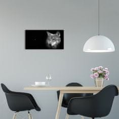 Wallmuralia Moderní skleněné hodiny na stěnu Vlk černé 60x30 cm