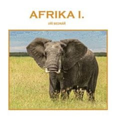 Jiří Bednář: Afrika I.