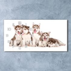 Wallmuralia Skleněné hodiny na stěnu Štěně Husky bílé 60x30 cm