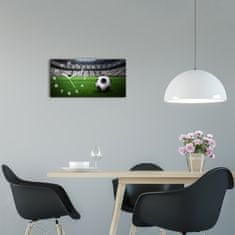 Wallmuralia Skleněné hodiny na stěnu Míč na stadioně bílé 60x30 cm