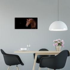 Wallmuralia Moderní skleněné hodiny na stěnu Hnědý kůň černé 60x30 cm