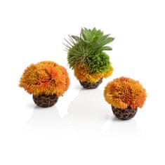 Oase biOrb coral ball set orange