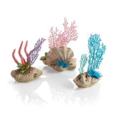 Oase biOrb coral fans & shells set