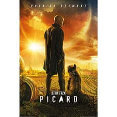 Grooters Plakát Star Trek - Picard