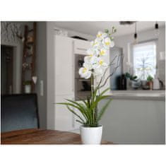 Europalms Orchidej bílá v dekoračním květináči, 62 cm