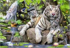 Educa  Puzzle Bílí bengálští tygři 1000 dílků