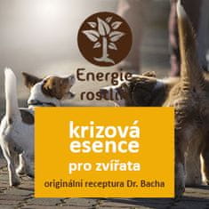 Krizová esence pro psy a kočky (20ml) – Originál směs Dr. Bacha – Bachovy esence