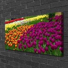 tulup.cz Obraz na plátně Tulipány Květiny 100x50 cm