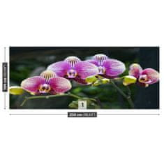 tulup.cz Fototapeta Fialová orchidej Fototapeta Samolepící 250x104 cm