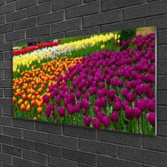 tulup.cz Obraz na skle Tulipány Květiny 100x50 cm 4 Přívěsky