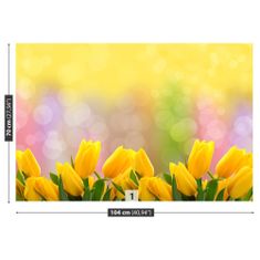 tulup.cz Fototapeta Žluté tulipány Fototapeta Vliesová 104x70 cm