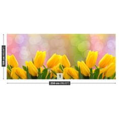 tulup.cz Fototapeta Žluté tulipány Fototapeta Samolepící 250x104 cm