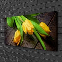 tulup.cz Obraz na plátně Tulipány Květiny 100x50 cm