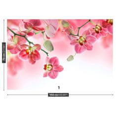 tulup.cz Fototapeta Tropické orchideje Fototapeta Samolepící 104x70 cm