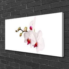 tulup.cz Obraz na plátně Květiny Příroda Orchidej 120x60 cm