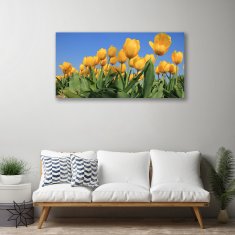 tulup.cz Obraz na plátně Tulipány Květiny Rostlina 100x50 cm