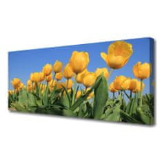 tulup.cz Obraz na plátně Tulipány Květiny Rostlina 100x50 cm