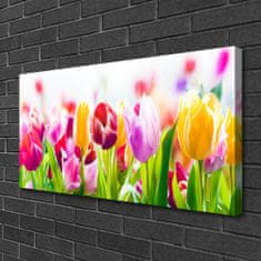 tulup.cz Obraz na plátně Tulipány Květiny 100x50 cm