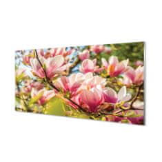 tulup.cz akrylový obraz růžová magnolie 125x50 cm 2 Přívěsky