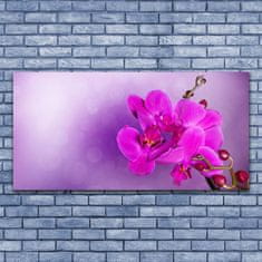 tulup.cz Obraz na plátně Květiny Plátky Orchidej 120x60 cm