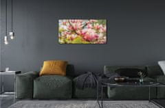 tulup.cz akrylový obraz růžová magnolie 100x50 cm 4 Přívěsky