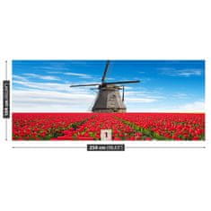 tulup.cz Fototapeta Větrný mlýn tulipány Fototapeta Vliesová 250x104 cm