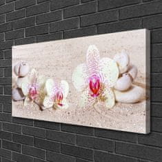 tulup.cz Obraz na plátně Orchidej Kameny Zen Písek 100x50 cm