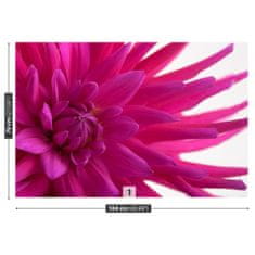 tulup.cz Fototapeta Dahlia Pink Fototapeta Vliesová 104x70 cm