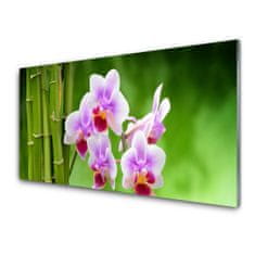 tulup.cz Obraz na skle Bambus Orchidej Květiny Zen 140x70 cm 4 Přívěsky