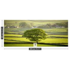 tulup.cz Fototapeta Anglie Derbyshire Fototapeta Samolepící 250x104 cm