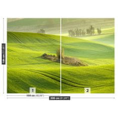 tulup.cz Fototapeta Kukuřičné pole Fototapeta Vliesová 208x146 cm