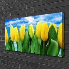 tulup.cz Obraz na plátně Tulipány Květiny 100x50 cm