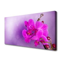 tulup.cz Obraz na plátně Květiny Plátky Orchidej 120x60 cm