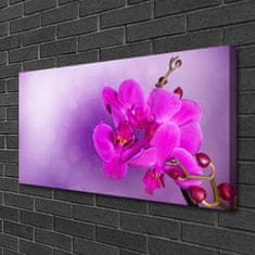 tulup.cz Obraz na plátně Květiny Plátky Orchidej 120x60 cm