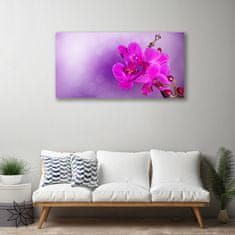 tulup.cz Obraz na plátně Květiny Plátky Orchidej 120x60 cm