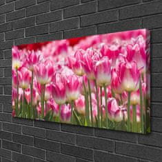 tulup.cz Obraz na plátně Tulipány Květiny Příroda 120x60 cm