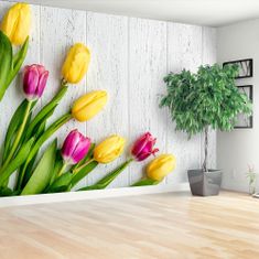 tulup.cz Fototapeta žluté tulipány Fototapeta Samolepící 152x104 cm