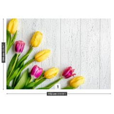 tulup.cz Fototapeta žluté tulipány Fototapeta Samolepící 152x104 cm