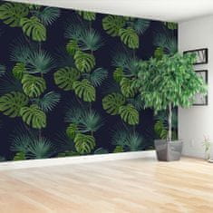 tulup.cz Fototapeta Monstera děravá Fototapeta Samolepící 416x254 cm