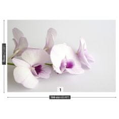 tulup.cz Fototapeta Bílé orchideje Fototapeta Samolepící 104x70 cm