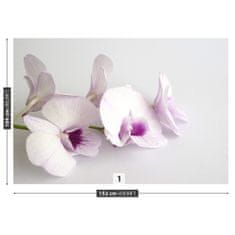 tulup.cz Fototapeta Bílé orchideje Fototapeta Vliesová 152x104 cm