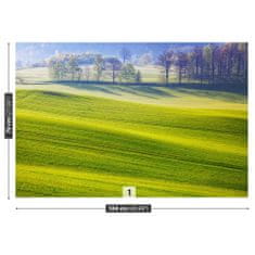 tulup.cz Fototapeta louka Fototapeta Vliesová 104x70 cm