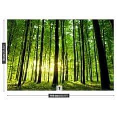 tulup.cz Fototapeta Zelený Les Fototapeta Vliesová 104x70 cm