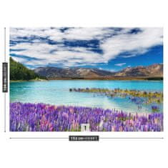 tulup.cz Fototapeta Jezero Nový Zéland Fototapeta Samolepící 152x104 cm