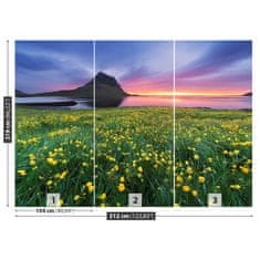 tulup.cz Fototapeta Žluté květy Fototapeta Vliesová 312x219 cm