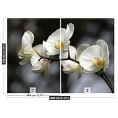 tulup.cz Fototapeta Bílá orchidej Fototapeta Samolepící 208x146 cm