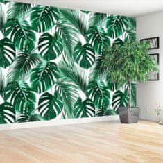 tulup.cz Fototapeta Monstera děravá Fototapeta Samolepící 208x146 cm