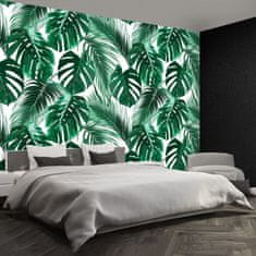 tulup.cz Fototapeta Monstera děravá Fototapeta Samolepící 208x146 cm