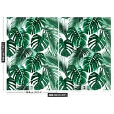 tulup.cz Fototapeta Monstera děravá Fototapeta Samolepící 208x146 cm