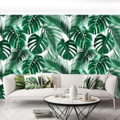 tulup.cz Fototapeta Monstera děravá Fototapeta Samolepící 208x146 cm